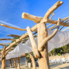 holiday-green frejus