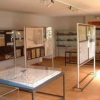 musee-d-histoire-de-mimizan mimizan