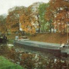 roanne