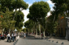 cours-mirabeau aix-en-provence