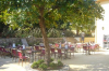 hippopotamus antibes