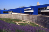musee-departemental-arles-antique arles
