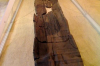 musee-de-paleontologie chilhac