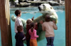 zoo-de-la-fleche la-fleche