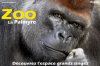 zoo-de-la-palmyre les-mathes