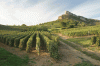 excursion-en-beaujolais lyon