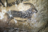 grotte-de-niaux niaux