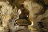 grotte-de-pair-non-pair prignac-et-marcamps
