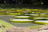musee-du-canal-du-midi revel