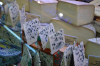 les-caves-du-roquefort roquefort-sur-soulzon