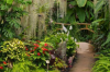 parc-floral-et-tropical-de-la-court-d-aron saint-cyr-en-talmondais