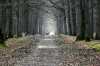 espace-rambouillet sonchamp
