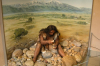 musee-de-prehistoire tautavel
