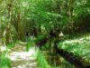 camping-la-riviere-d-argent huelgoat