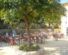 hippopotamus antibes