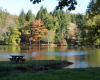 arboretum-de-pezanin dompierre-les-ormes