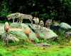 les-loups-de-chabrieres gueret