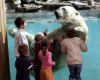 zoo-de-la-fleche la-fleche