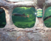 parc-aquarium-du-perigord-noir le-bugue