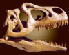 la-foret-aux-dinosaures le-mas-d-azil