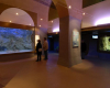 aquarium-du-limousin limoges