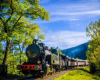 voyages-en-train-les-plus-beaux-parcours-de-france nimes