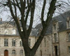 musee-d-art-moderne-de-troyes troyes