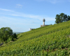 le-phare-de-verzenay verzenay