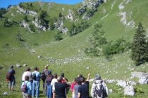 camping-le-fleutron divonne-les-bains
