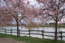 mionnay