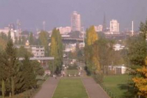 mulhouse