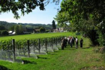 soudaine-lavinadiere