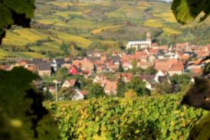 westhalten