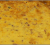 A la découverte de la Quiche Lorraine