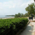 le-mazet-du-vaccares arles