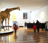 museum-d-histoire-naturelle grenoble