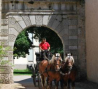 haras-national-de-rosieres-aux-salines rosieres-aux-salines