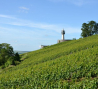 le-phare-de-verzenay verzenay